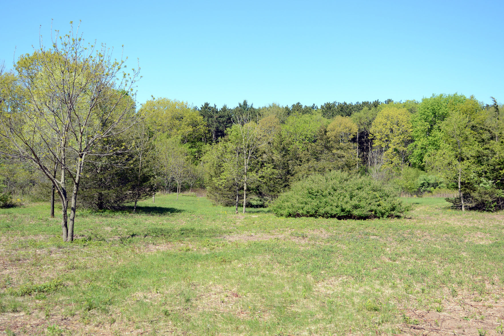 West Baraboo Village Forest